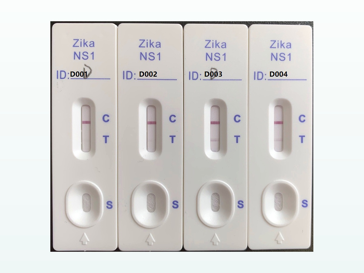 寨卡病毒非结构蛋白1（NS1）重组蛋白 产品图片